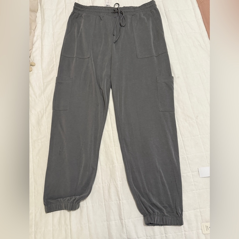 Lou & Grey Gray Cargo Joggers